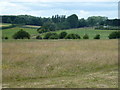 TF0800 : Field of hay near Wansford by Richard Humphrey