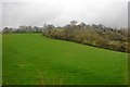 SY2696 : East Devon Countryside by N Chadwick