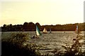TQ4590 : View of sailing boats on the lake in Fairlop Waters by Robert Lamb