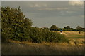 View of a house on Painters Road from Fairlop Waters