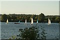 TQ4590 : View of sailing boats on the lake in Fairlop Waters #5 by Robert Lamb