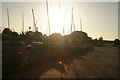 View of sails against the sunset in Fairlop Waters