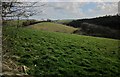 SX3477 : Fields near Treburley by Derek Harper