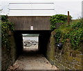 Under the railway to the beach, Ferryside