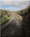 SX3476 : Lane to Bealsmill by Derek Harper