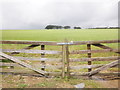 Sunshine over field