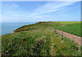 SS2221 : South West Coastal Path above Mansley Cliff, Devon by Roger  Kidd