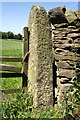 Gatepost with benchmark