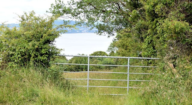 Field gate, Ballymenagh, Holywood (July 2015)