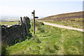SD9447 : Pennine Way and wall angle on Elslack Moor by Roger Templeman