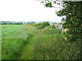 Footpath in Little John Field, Stainsacre