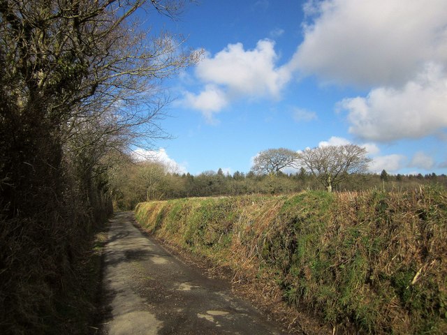 Lane near Downhouse