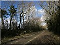 Lane near Oldclims