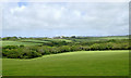 Devon farmland near Edistone