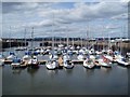 Harbour at Tayport