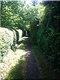 TL3753 : Path towards Little Eversden by Dave Thompson