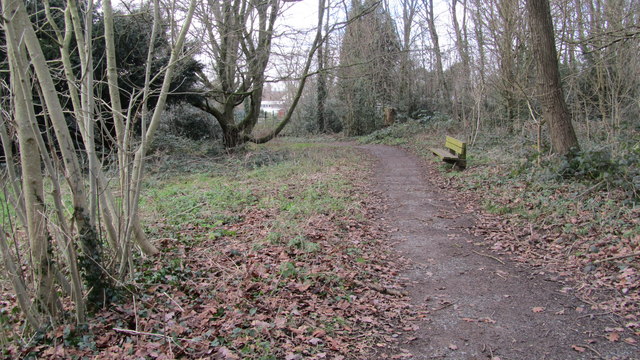 A bench in Green Lane Copse