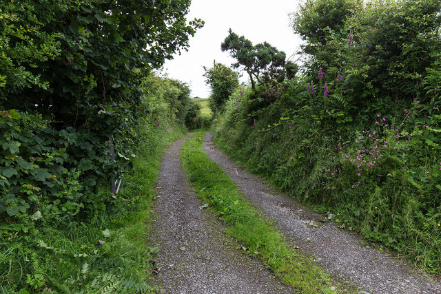 Grass Road towards Snellings Mire