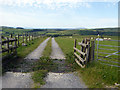 Track to Llechwedd-hen farm