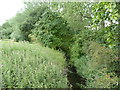 Elmbridge Brook looking downstream