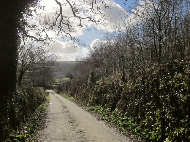 Lane at Lamerhooe