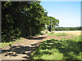 Access road to Fen Farm