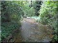 River Misbourne in Gerrards Cross