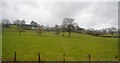 Farmland near Clapton