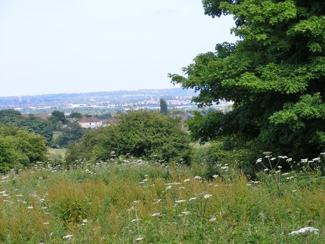 Coseley View