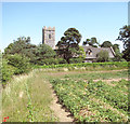 The former church of All Saints, Knettishall