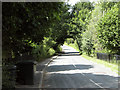 Nethergate Street, Hopton