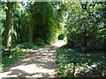 Wilby - Wilby House Driveway