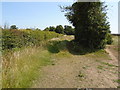 Wilby - Remnants of Stumps Lane