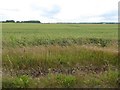 Farmland on the site of the former RAF Grimsby