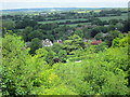 On Gilbert White?s ziz zag path above Selborne