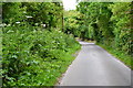 Lane near Higher Berrycourt