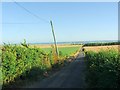 Old Hook Road, near Eastchurch