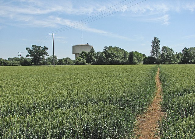 Ditton Green: wheatfield, water tower and footpath