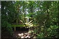 Footbridge to the Spinney