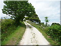 Bridleway from Fylingthorpe to Ramsdale