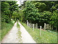 Bridleway from Fylingthorpe to Ramsdale