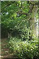 Hidden Pillbox by the A130