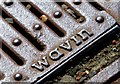 Wavin drain cover, Belfast - July 2015 (2)