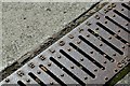 Wavin drain cover, Belfast - July 2015 (3)