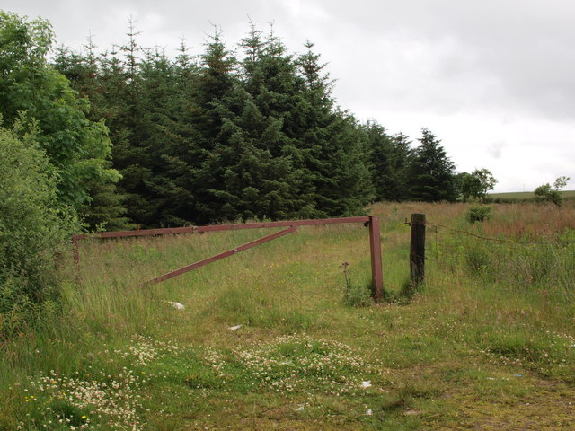 Gate on the forest road