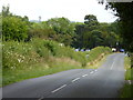 Minor road at Hadley Heath