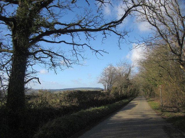 Road, Latchley Plain