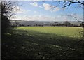 Field near Latchley Plain