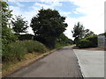 TL8821 : Lane near the entrance to the Poultry Houses by Geographer