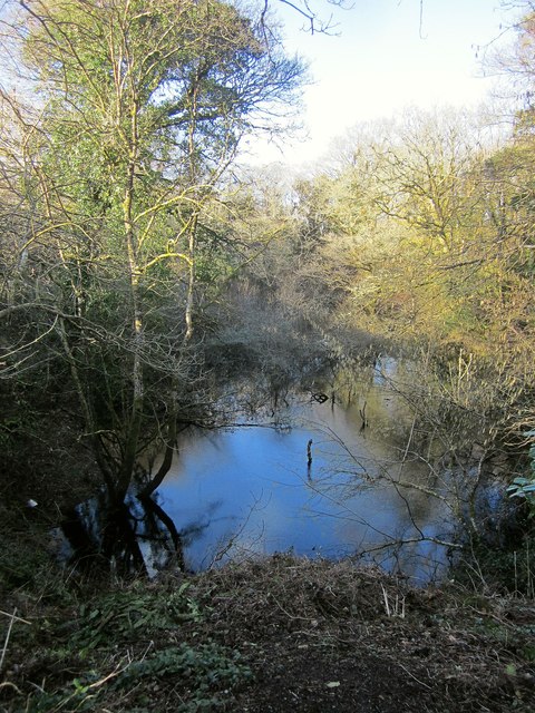 Pond, North Dimson